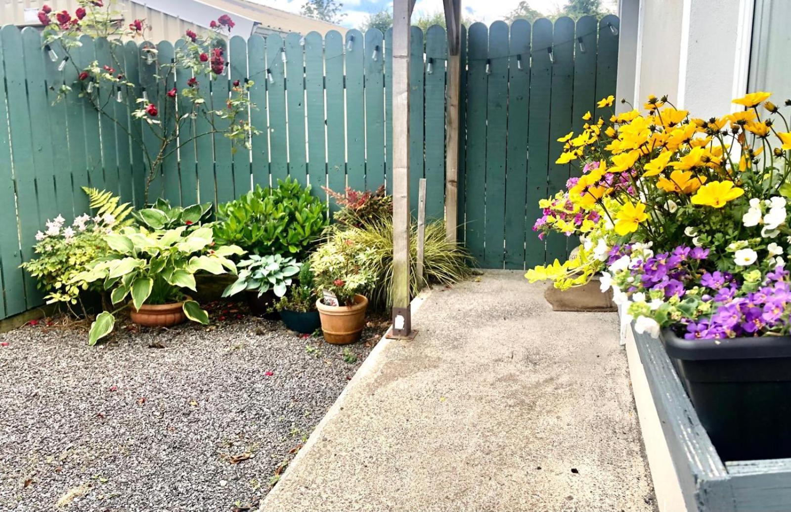 Swallow'S Rest Garden Apartment แอชบอร์น ภายนอก รูปภาพ